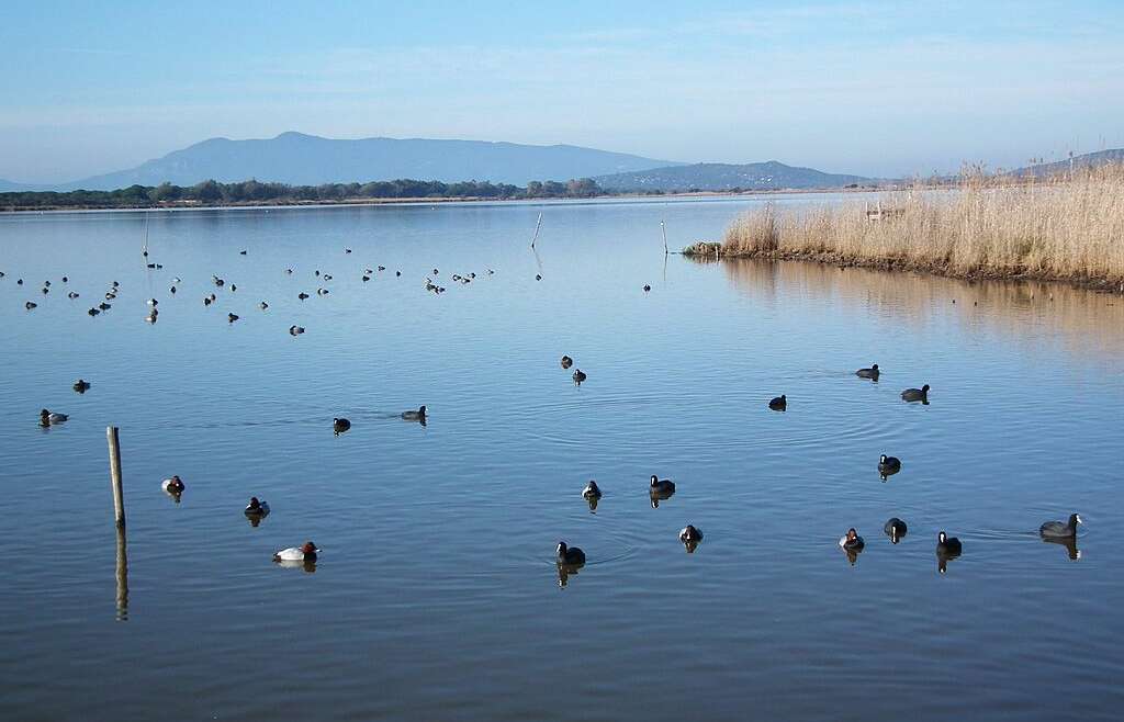 Oasi di Burano